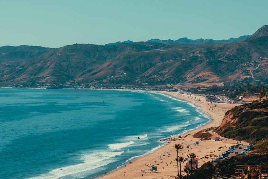 pexels-tom-briskey-12422179 (1)